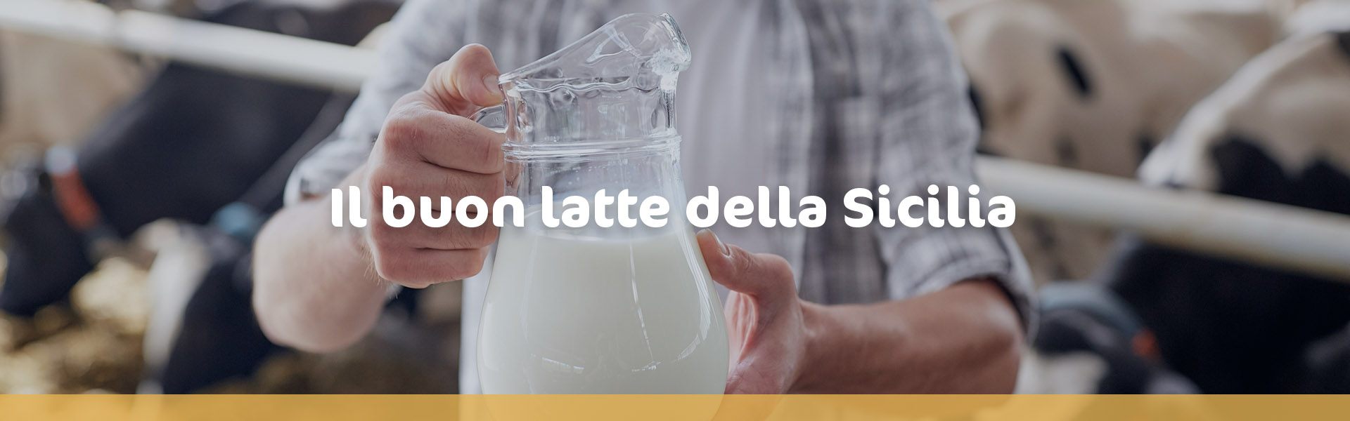 Il buon latte della Sicilia